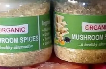 Organic Mushroom Spices