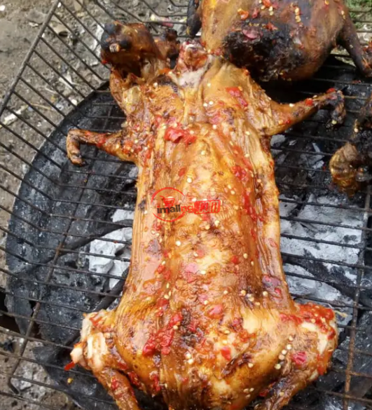 GOE Animals – Well Prepared Rabbit Meat With Sauce, For Sell