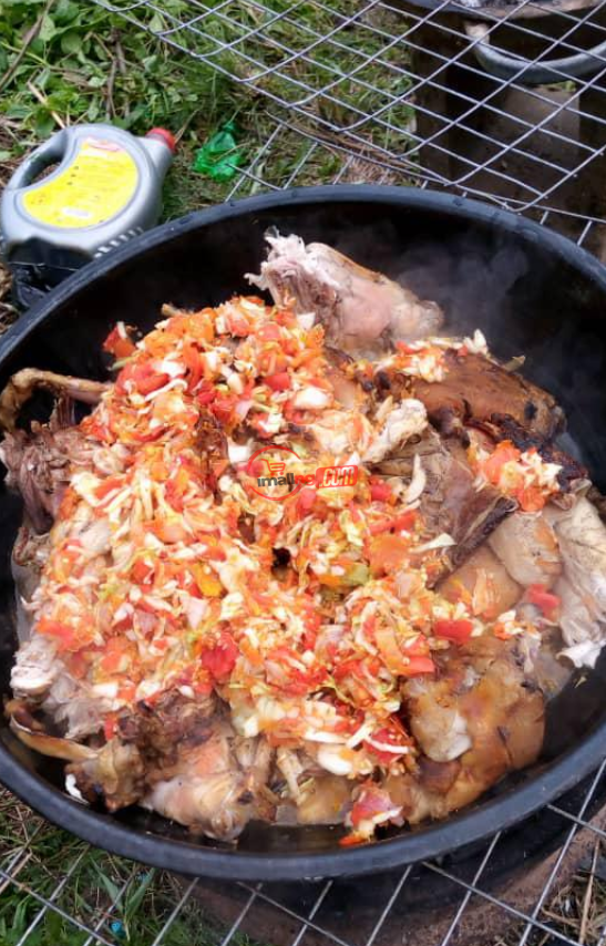 GOE Animals – Well Prepared Rabbit Meat With Sauce, For Sell