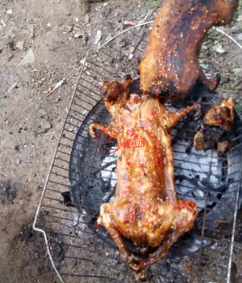 GOE Animals – Well Prepared Rabbit Meat With Sauce, For Sell