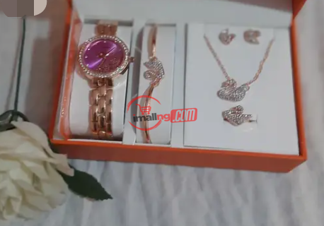 Female Wristwatch Complete Set