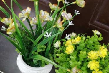 Beautiful Mini Potted Flowers For Sale