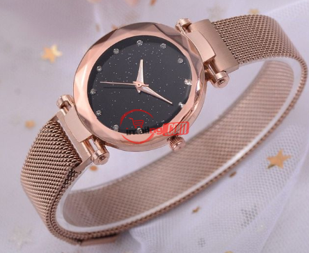 Women's Mesh Magnet Buckle Quartz Watch