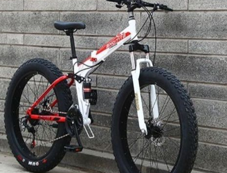 Fat Tyre Cruiser Power Bike