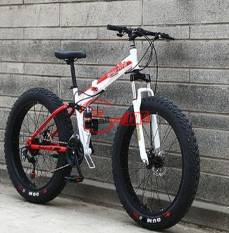 Fat Tyre Cruiser Power Bike