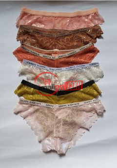 Sexy V- Shape Low Waist Lace Panties