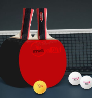 Table Tennis 2 Player Set 2 Table Tennis Bats Rackets