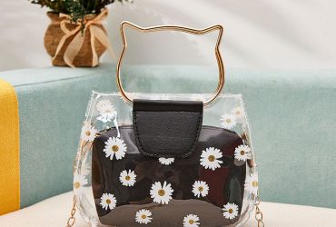 Private: Ladies bag