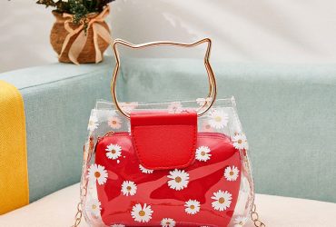 Private: Ladies bag