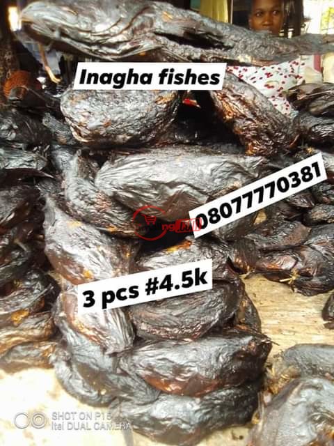 Inagha fish