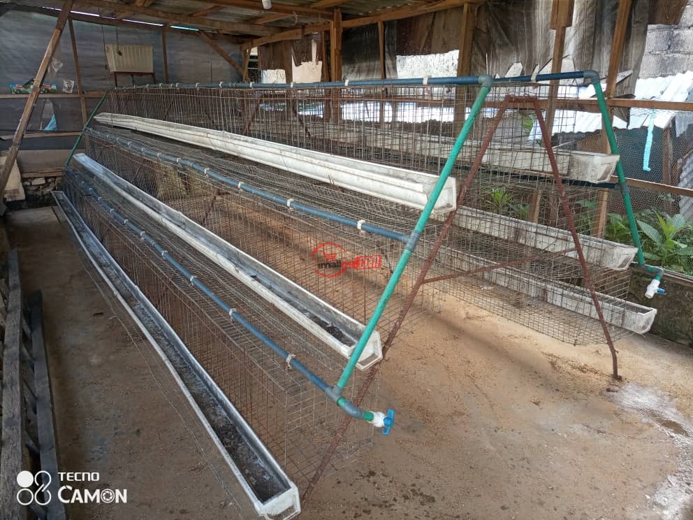 Poultry cage