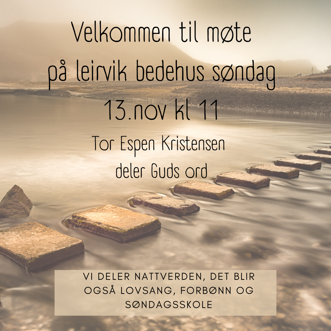 møte 13.nov 22