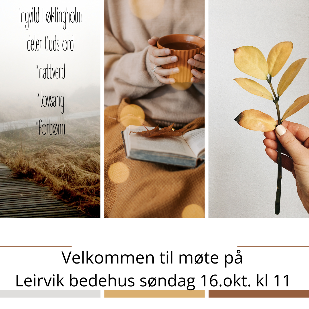 møte 16.okt 22