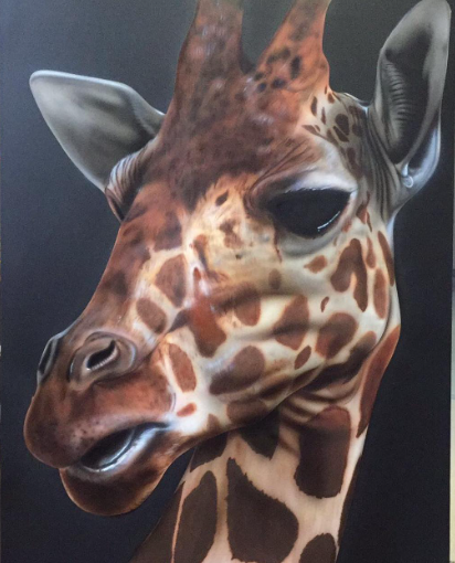 Giraffa