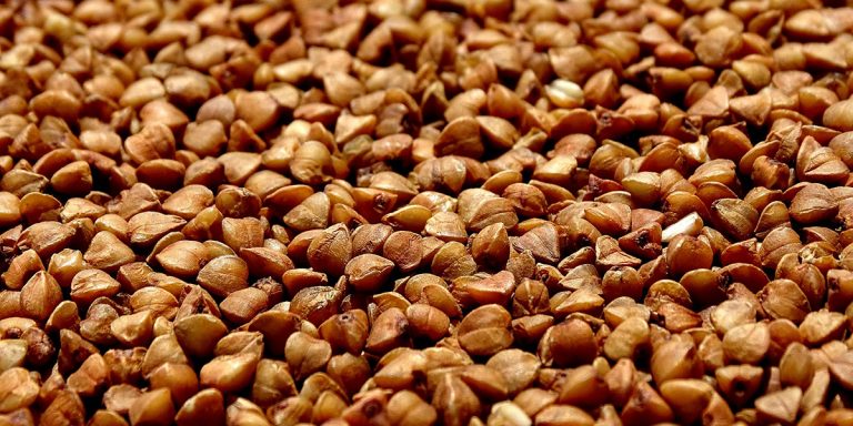 Iniziativa dell’Accademia della Cucina in Valsassina: il grano saraceno