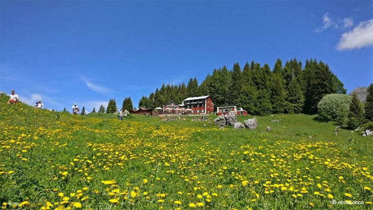 Le escursioni di Moggio