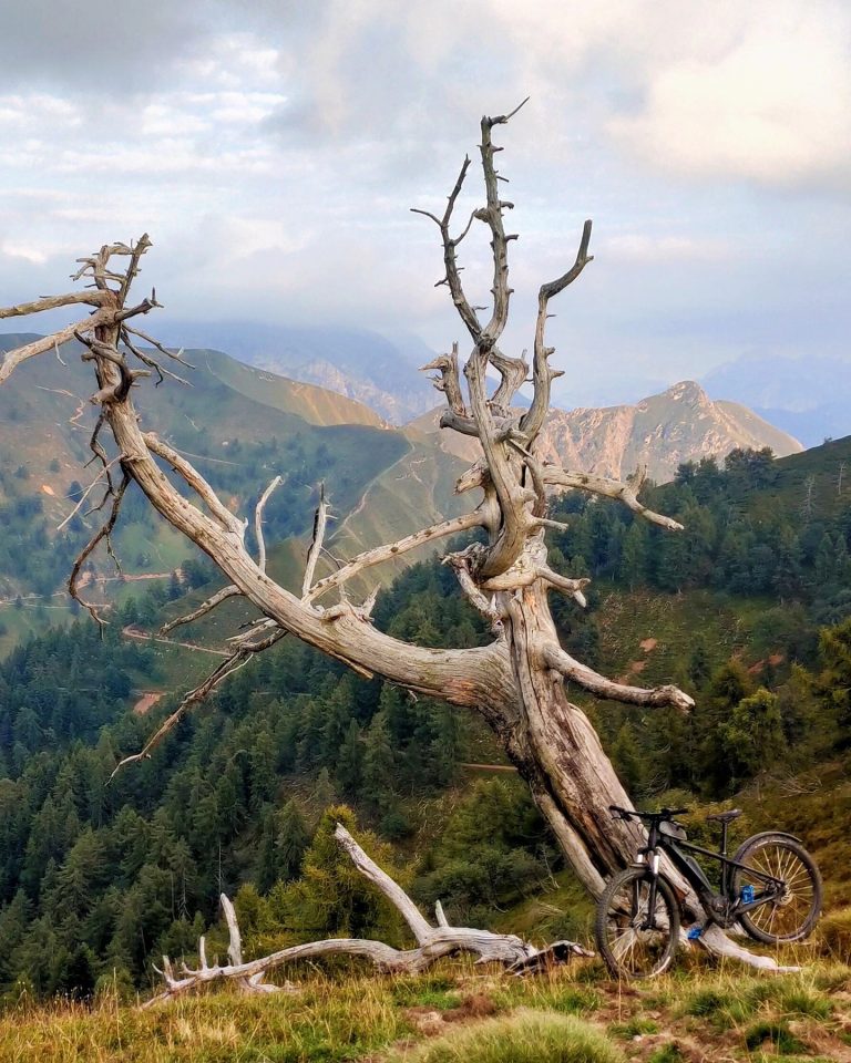 Larès Brusàa Foto Gabriele Ardemagni Settembre 2021