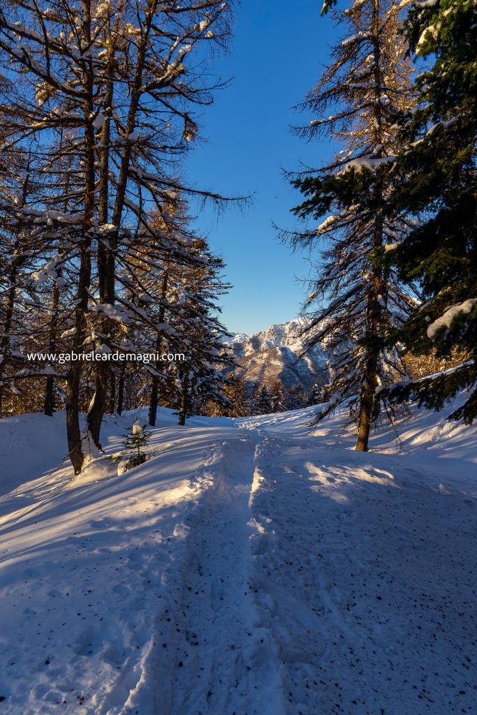 Pista Sci Alpe Paglio Foto Gabriele Ardemagni Febbraio 2021