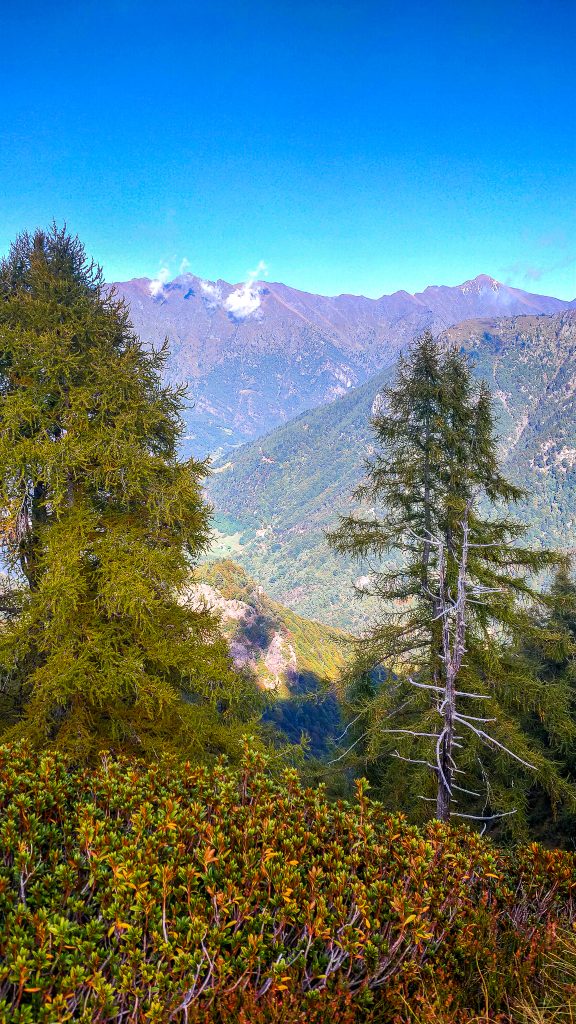 Vista verso Premuna Salendo al Cimone Foto Gabriele Ardemagni Ottobre 2021