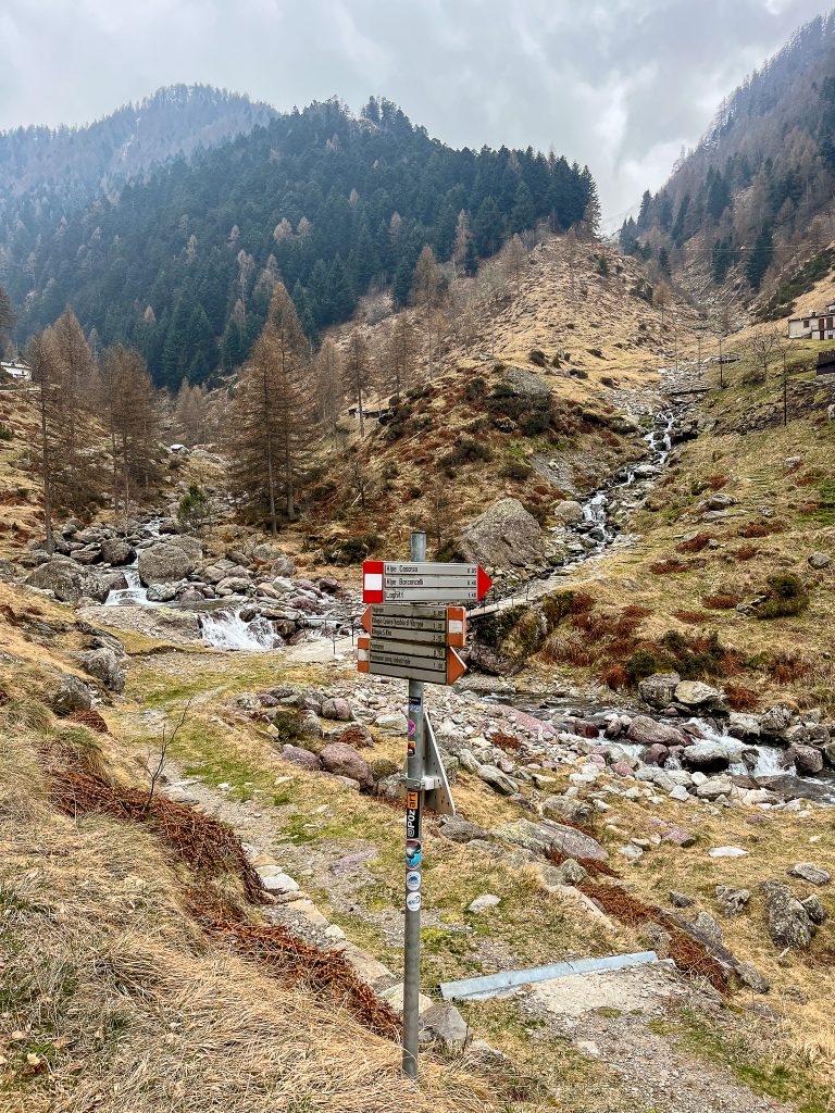 Bivio all'Alpe Forni 1100slm - Foto di Gabriele Ardemagni