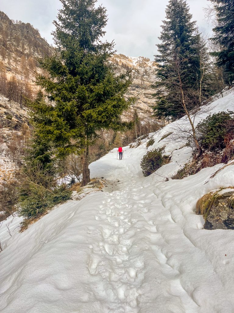 Quasi arrivati all'imbocco della vallata alta la neve sul sentiero aumenta - Foto di Gabriele Ardemagni