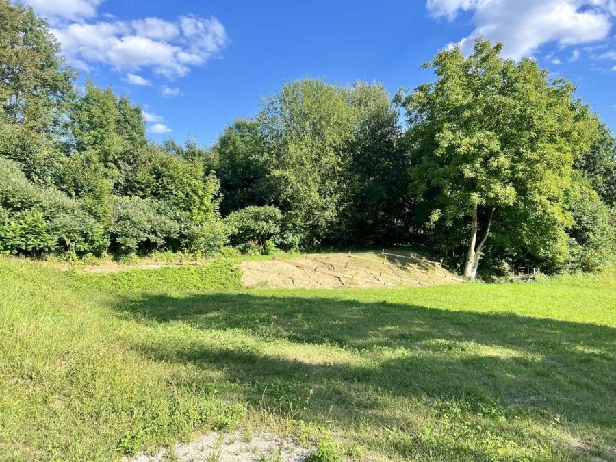 Schön geschnittenes Baugrundstück in Ortsrandlage von Tiefenbach!, 94113 Tiefenbach, Freizeit