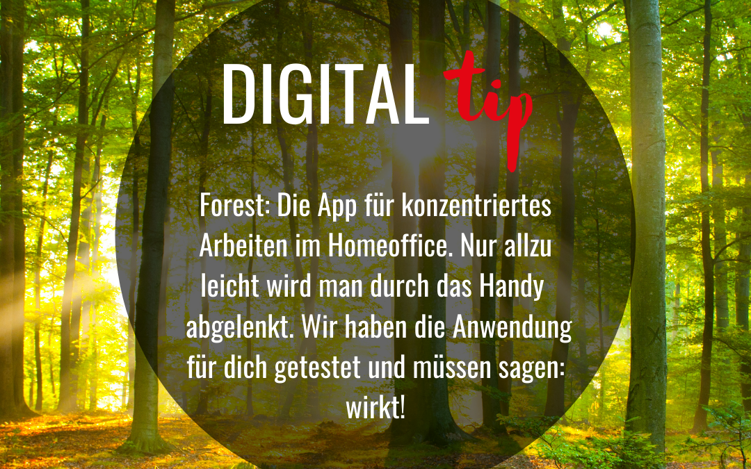 Forest: App für konzentriertes Arbeiten im Homeoffice