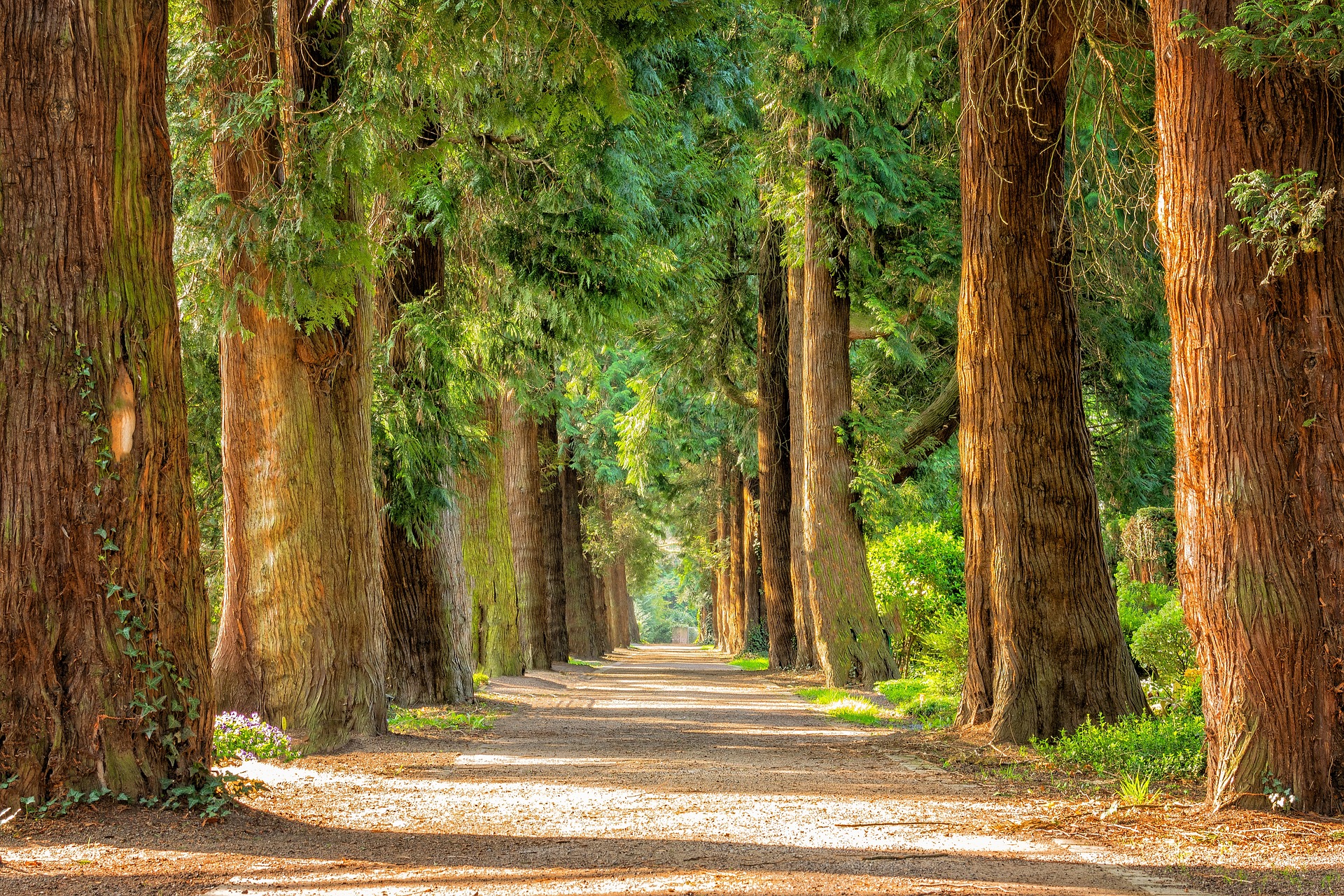 avenue g13d7143e9 1920