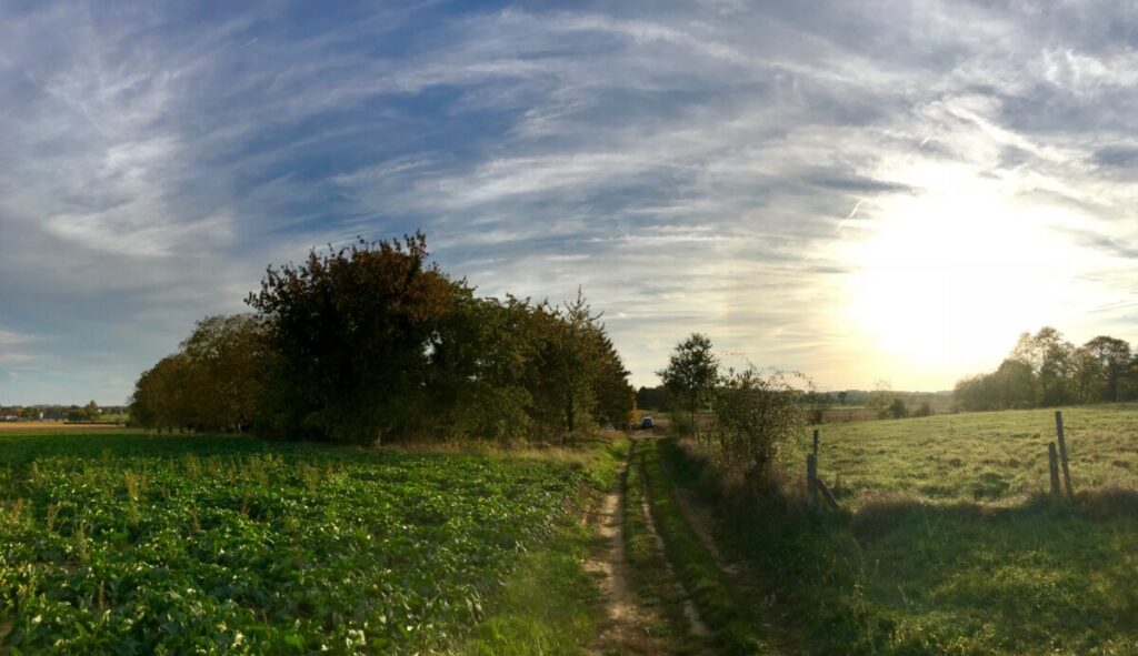 Koningshoeve Te koop landbouwgrond Holsbeek