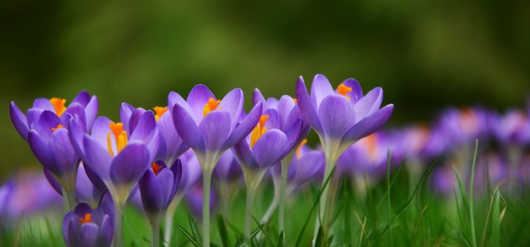 Eindelijk de zonnebril weer op, laat de lente maar komen!