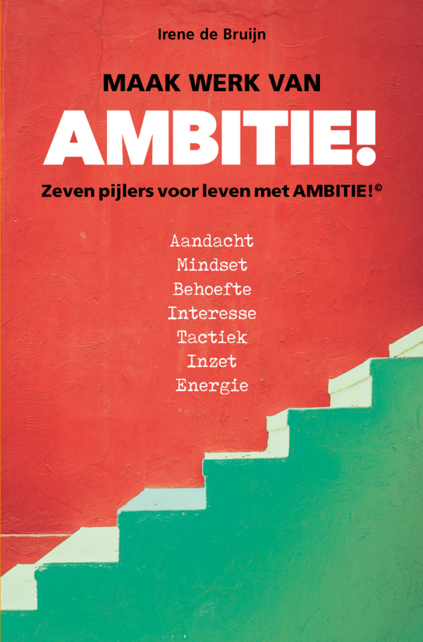 Boek: Maak werk van AMBITIE!