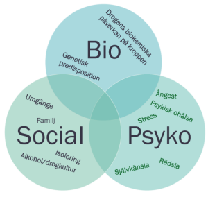 Bio Psyko Social