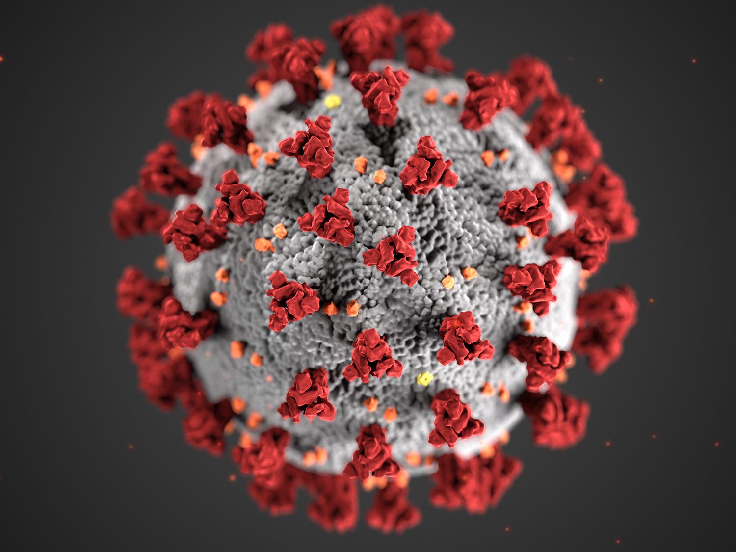 Picture of the virus COVID-19