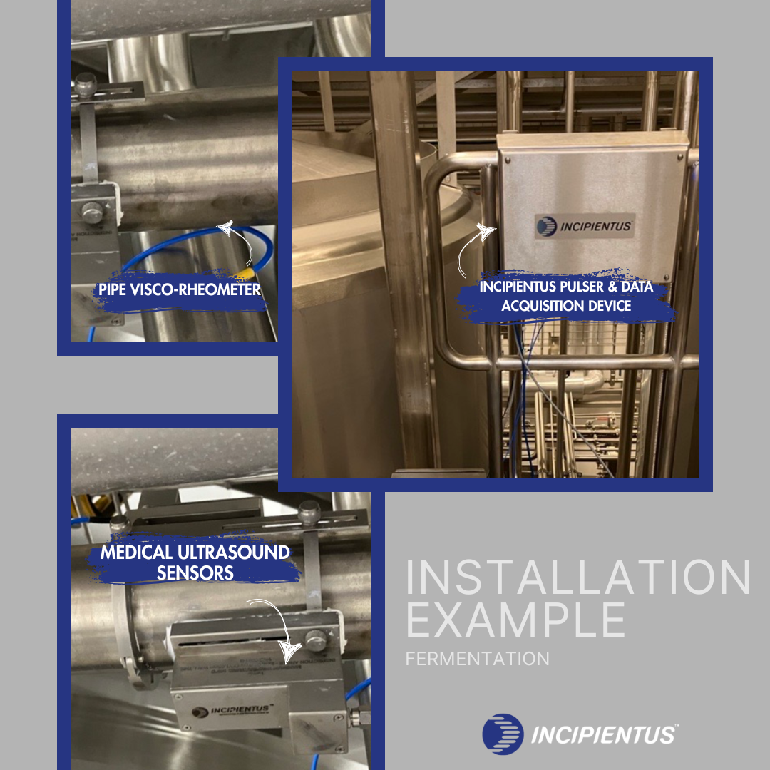 Fermentation Incipientus installation
