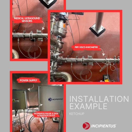Ketchup Incipientus installation example