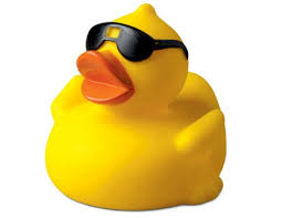 rubber-duck