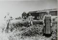 L10 Slåttonn Årfaldet