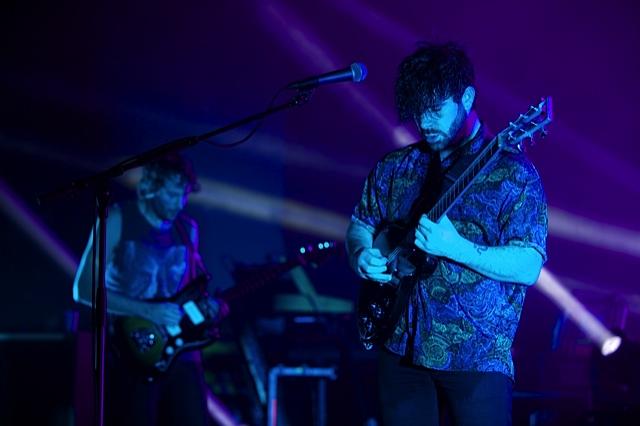 Foals