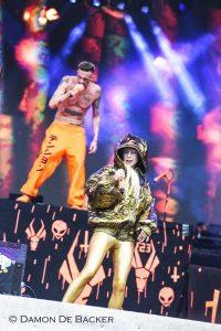 Die Antwoord