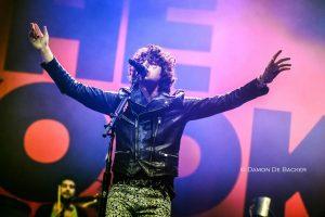The Kooks