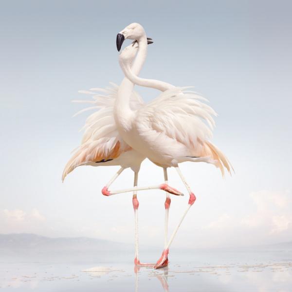 Rustie – Green language: schizofreen