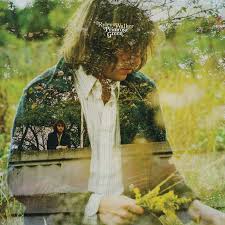Ryley walker