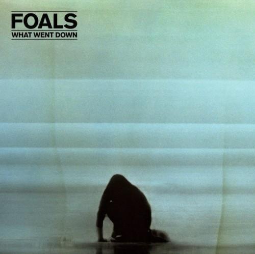 Foals what