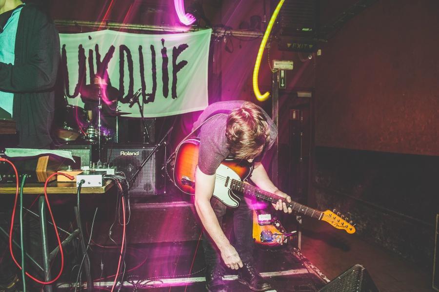 Foto’s Pruikduif, Charlatan Gent, 11 november 2015