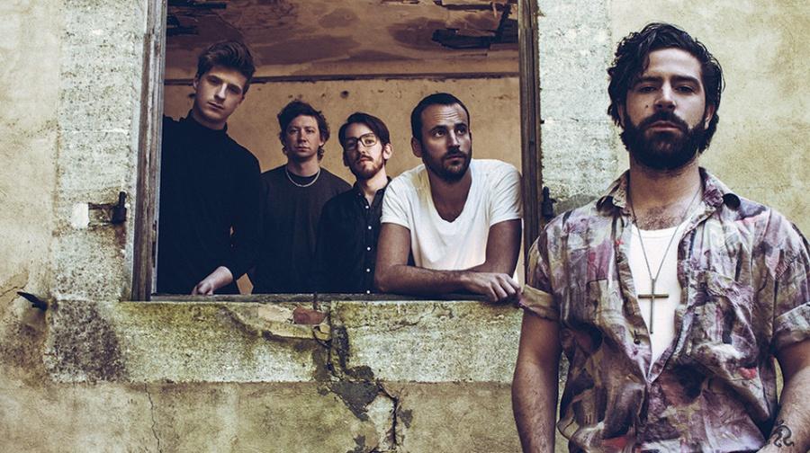 Foals