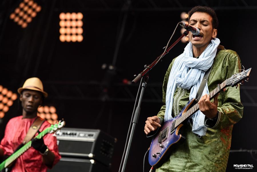 Bombino
