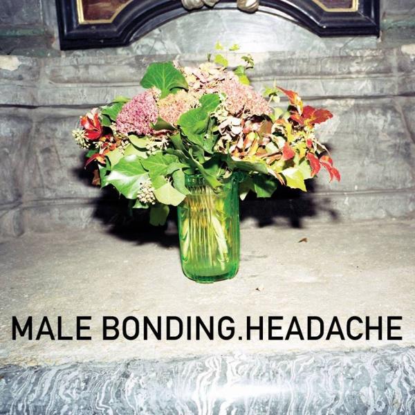 Male bonding