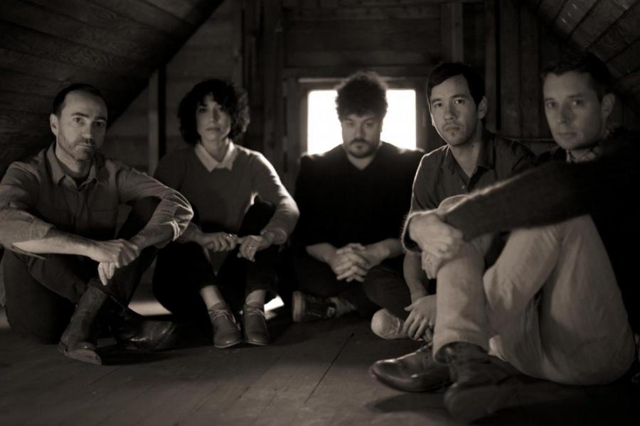 The shins