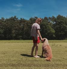 Luister naar ‘Good dog bad dog’, een nieuw liedje van Shy Dog (ofte Bed Rugs-drummer Noah)
