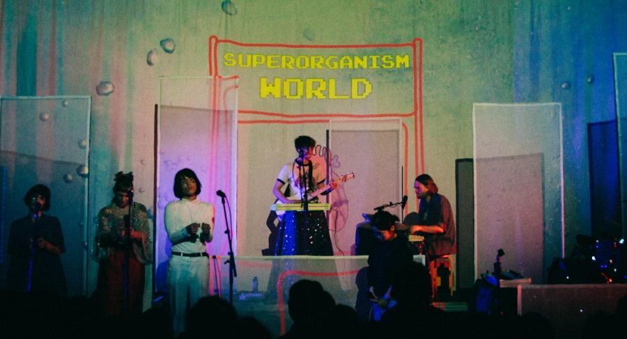 Iedereen Superorganism in de Botanique
